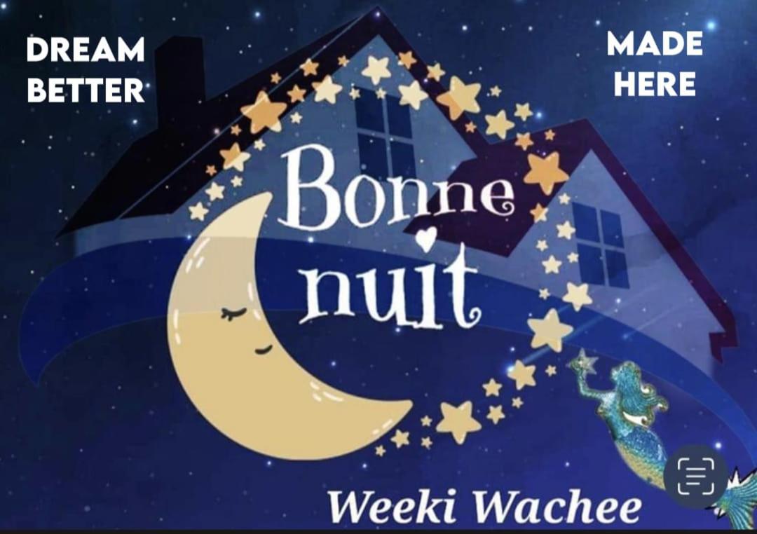 Villa Bonne Nuit Weeki Wachee Exterior foto